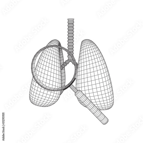 Lungs with trachea bronchi internal organ human with magnifying glass. Pulmonology medicine science analysis concept. Wireframe low poly mesh vector illustration