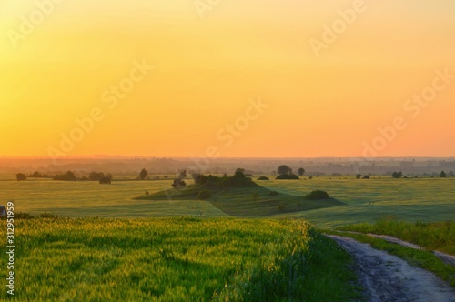 sunset over green field