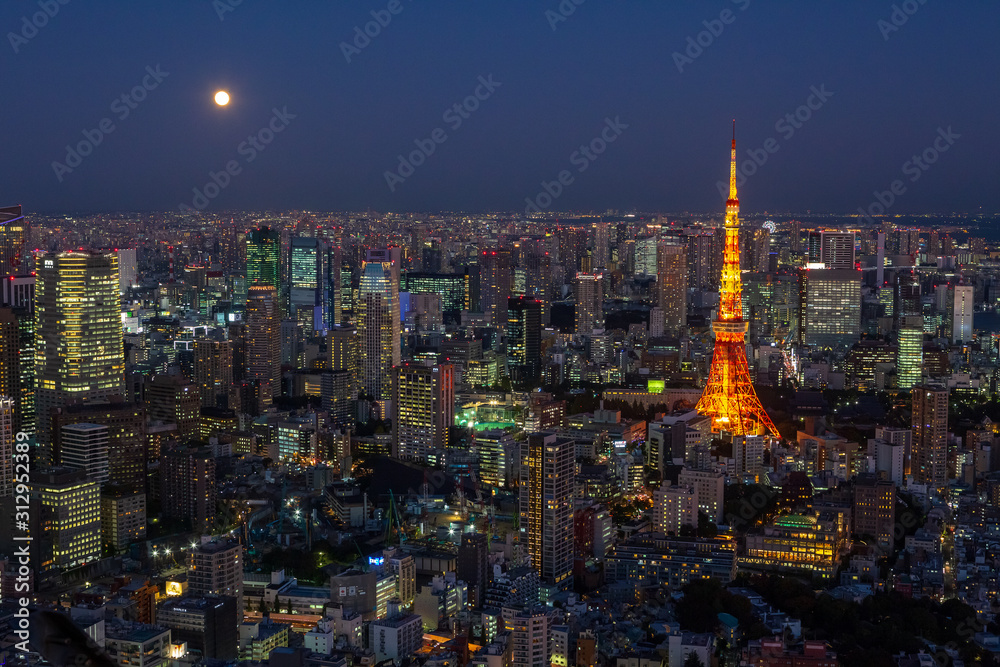 Fototapeta premium TV tower, Tokyo lights, Japan