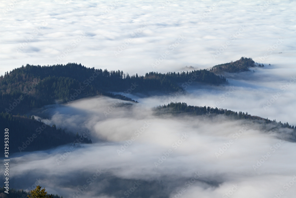Bergspitzen im Nebelmeer Schwarzwald Bergspitzen im Nebelmeer Schwarzwald