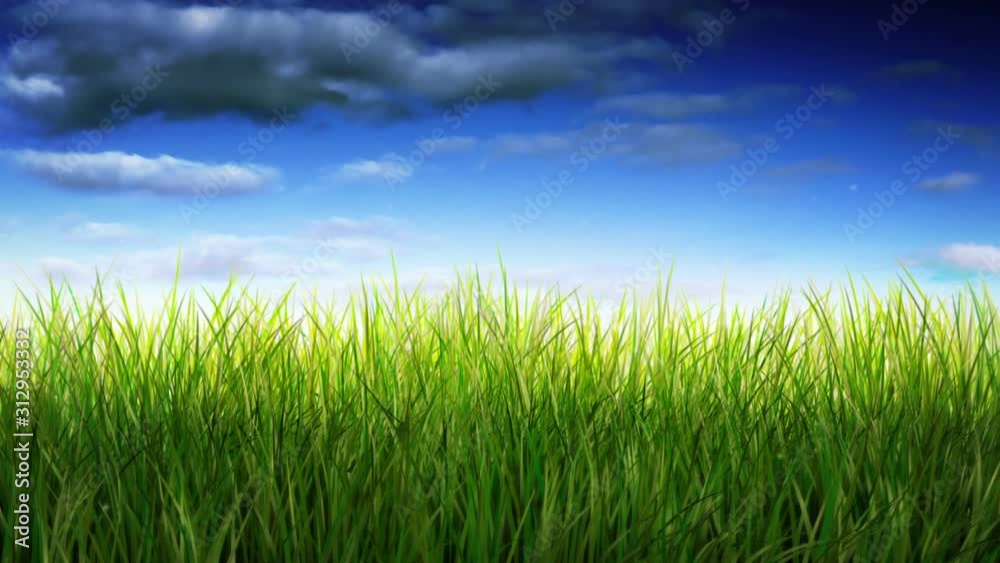 Green grass over blue timelapsed sky. Loopable. Long grass waving in the breeze. Nature background. More options in my portfolio. Green grass over blue timelapsed sky. Loopable. Long grass waving in the breeze. Nature background. More options in my portfolio.