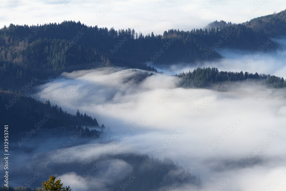 Fototapeta premium Berge im Nebel Schwarzwald