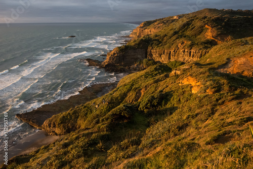 The Te Henga Walkway between Muriwai and Bethells Beach on the west coast of Auckland, New Zealand. photo