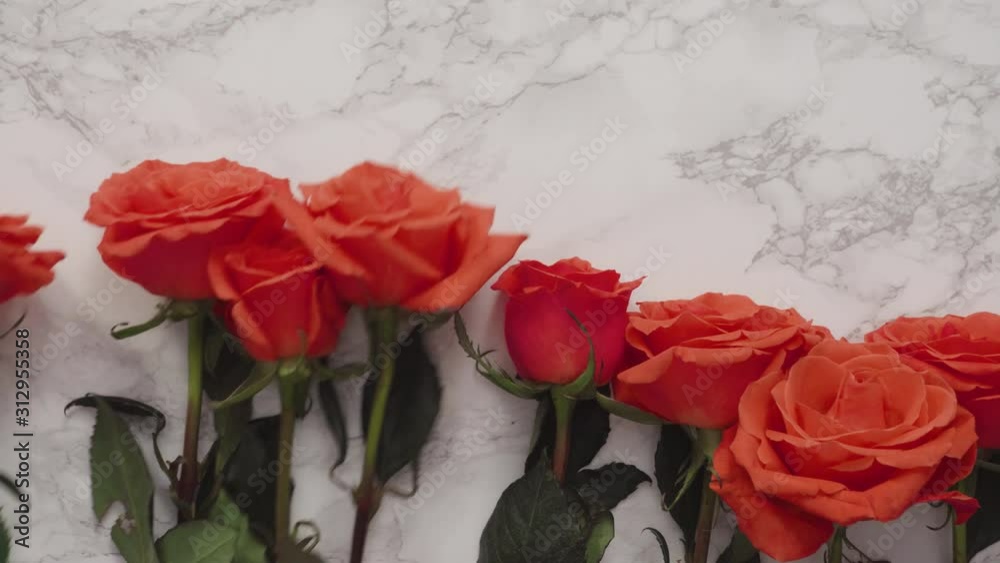 Flat lay. Red roses on a marble background.