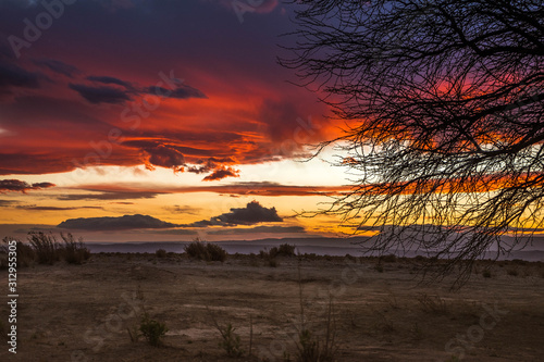 Atacama desert in Chile