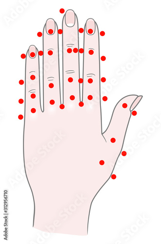 Front side of the woman's left hand with dots for acupuncture massage. Vector. Isolated on white backgroundn's left hand with dots for acupuncture massage. Vector. Isolated on white background