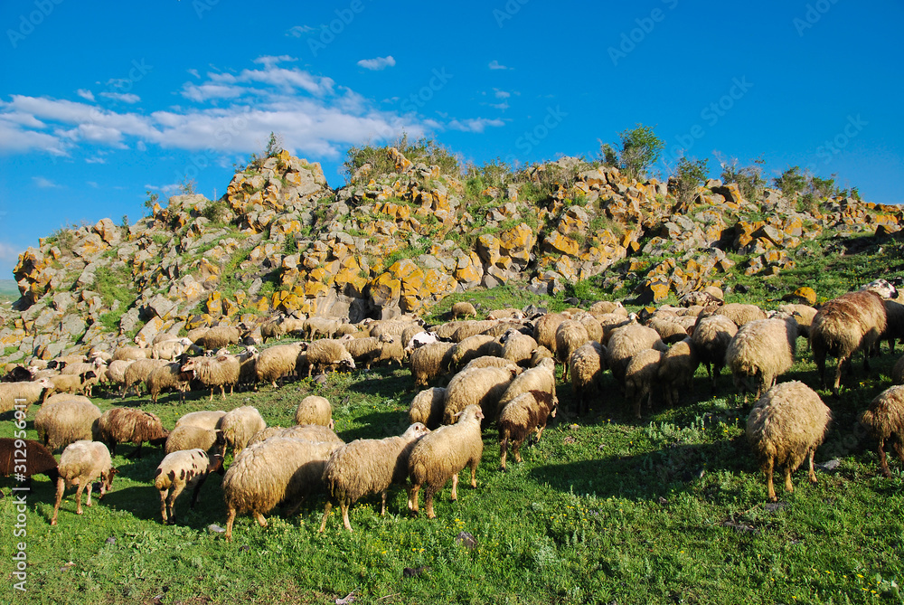 Beautiful view of Sevan lake with turquoise water and green hills