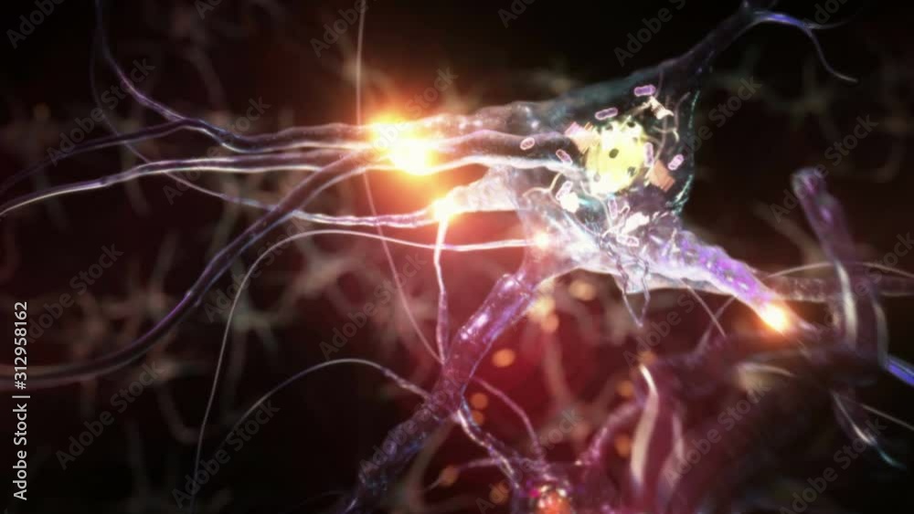 Journey through a neuron cell network inside the brain. Blue. Loopable. Flying across a neuronal network, electric impulses passes by it. Synapse. More options in my portfolio.