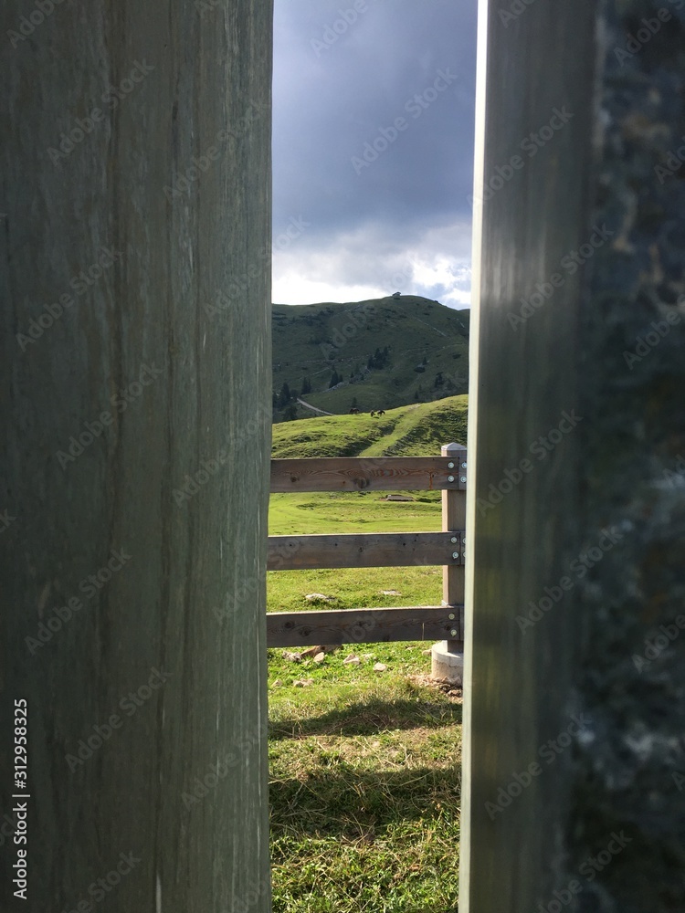 Fototapeta premium door to the world
