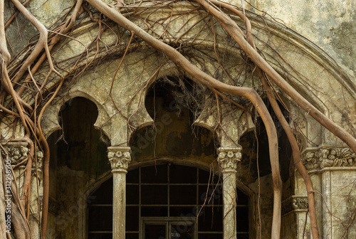 Abandoned building doorway covered with banayan tree roots photo