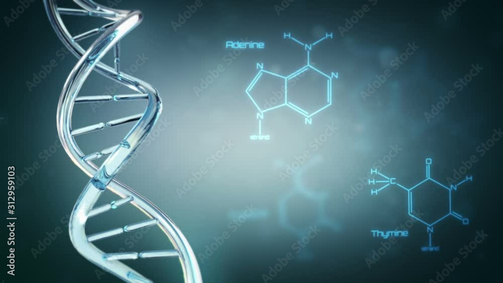 DNA with space for text. 3 videos in 1 file. DNA double helix animation with Guanine, Adenine, Thymine and Cytosine formulas. Each video is loopable. More options in my portfolio.