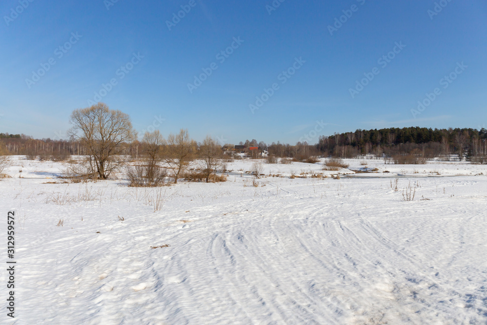 Panorama of a wild field located on the edge of a birch forest. The photo was taken on a Sunny day in early spring. Vladimir region, Russia.