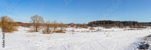 Wallpaper Mural Panorama of a wild field located on the edge of a birch forest. The photo was taken on a Sunny day in early spring. Vladimir region, Russia. Torontodigital.ca