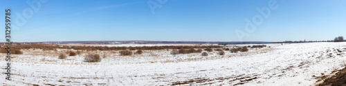 Panorama of a wild field located on the edge of a birch forest. The photo was taken on a Sunny day in early spring. Vladimir region, Russia.