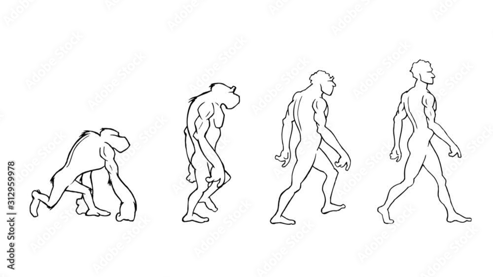 Human evolution morph. Loopable. Alpha matte. Frame to frame hand made animation. From the ape to the homo-sapiens. 4 stages. More options in my portfolio. Human evolution morph. Loopable. Alpha matte. Frame to frame hand made animation. From the ape to the homo-sapiens. 4 stages. More options in my portfolio.