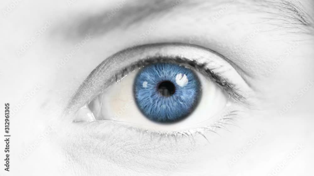 Female Eye. Blue and green. White and blue skin. 2 in 1. Close-up of a colored eye blinking. Each video is loopable. More options in my portfolio. Female Eye. Blue and green. White and blue skin. 2 in 1. Close-up of a colored eye blinking. Each video is loopable. More options in my portfolio.