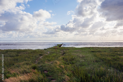Nordsee Küste
