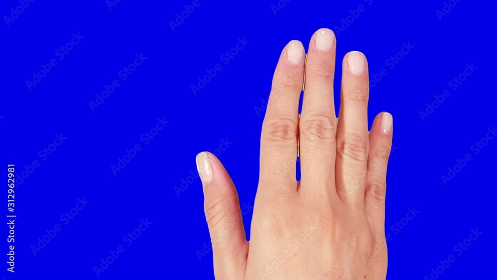 Set of 14 hand touchscreen gestures, showing the uses of computer touchscreen, tablet or trackpad. Female hand. Mobile phone. Blue Screen. Set of 14 hand touchscreen gestures, showing the uses of computer touchscreen, tablet or trackpad. Female hand. Mobile phone. Blue Screen.