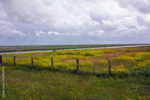 Nordsee Landschaft