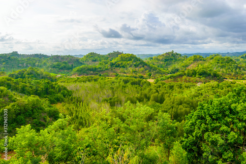 landscape in the mountains