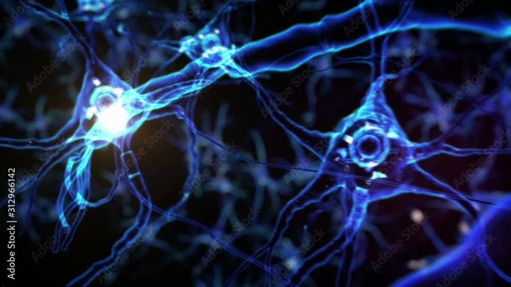 From neurons during synapsis to a human head. Loopable. Biology. Dolly out. More options in my portfolio. 