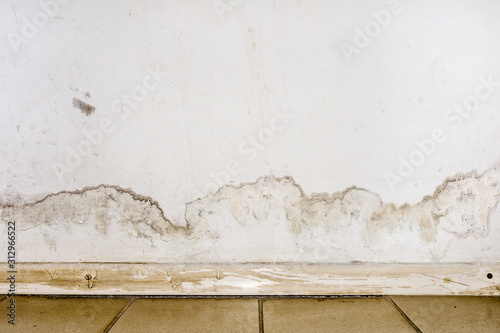Flooding rainwater or floor heating systems, causing damage, peeling paint and mildew. photo