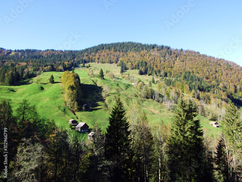 Mixed forests and trees on the Churfirsten mountain range and in the Toggenburg region, Starkenbach - Canton of St. Gallen, Switzerland photo