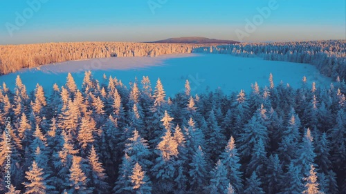 Aerial winter landscape flight over snow forest on sunset.