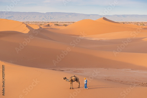 Obraz na płótnie Bedouin and camel on way through sandy desert Beautiful sunset with caravan on S