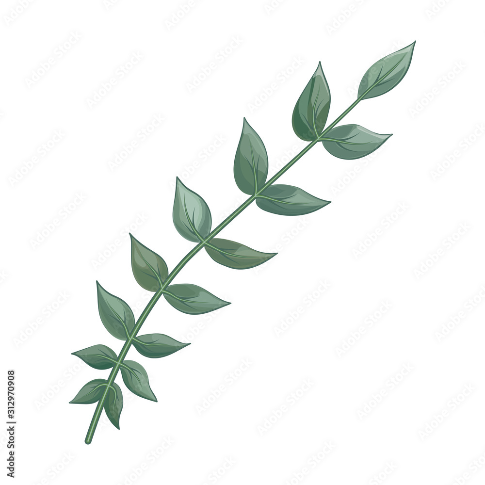 Art watercolor natural branches leaves elements. Vector illustration .