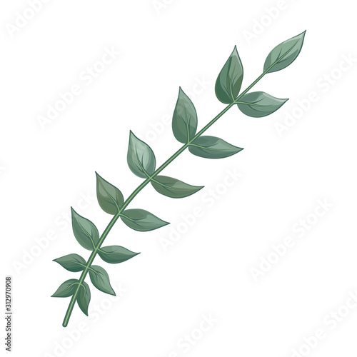 Art watercolor natural branches leaves elements. Vector illustration .