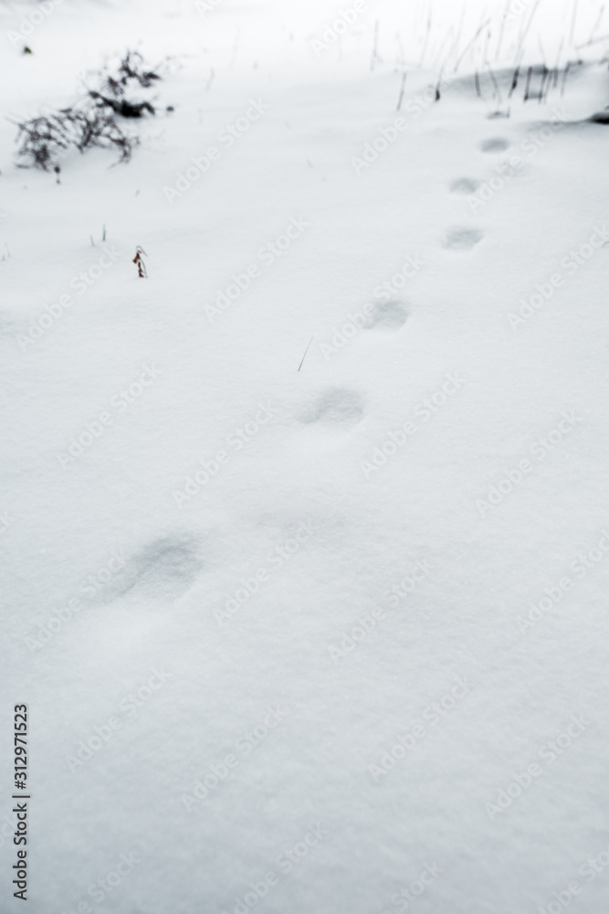 footsteps on white pure snow in mountains