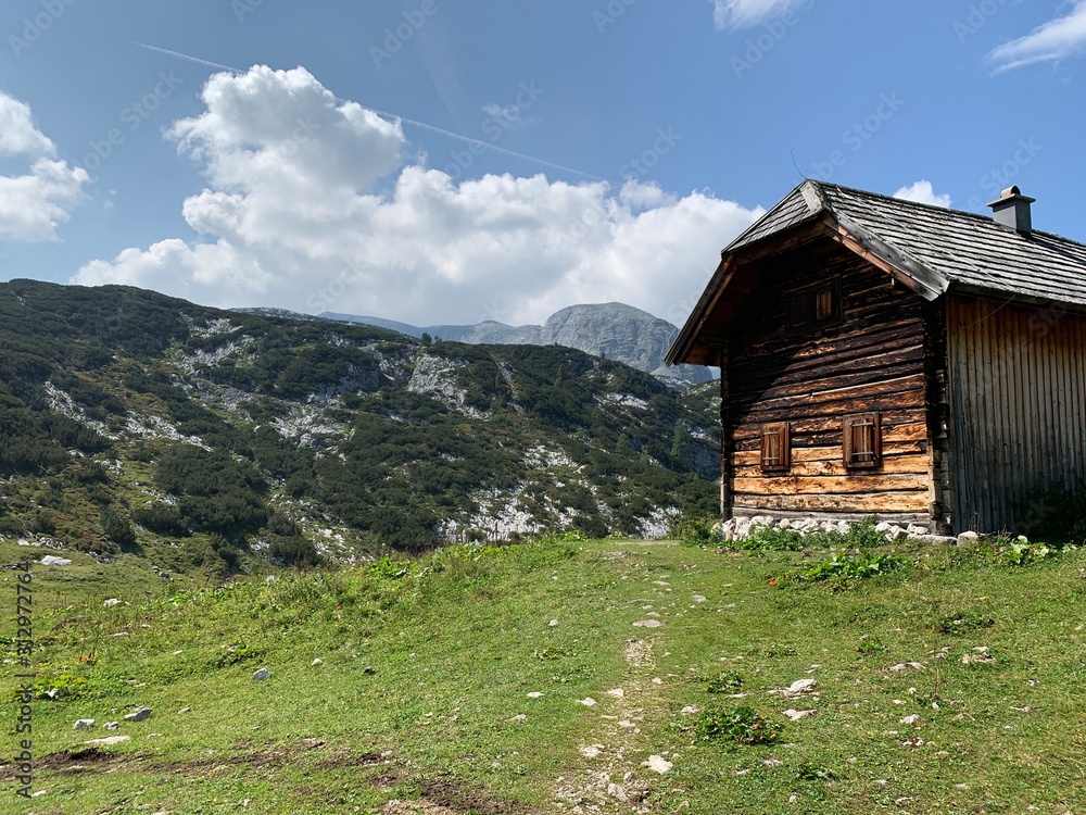 Wooden cottage in Alps mountains