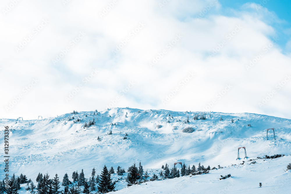 Scenic view of snowy mountain with pine trees in white fluffy clouds