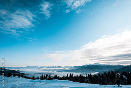 scenic view of snowy mountains with pine trees in white fluffy clouds © LIGHTFIELD STUDIOS