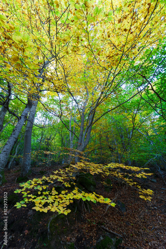 Autumn in the Natural Park of Moncayo is a protected area located in the province of Zaragoza.