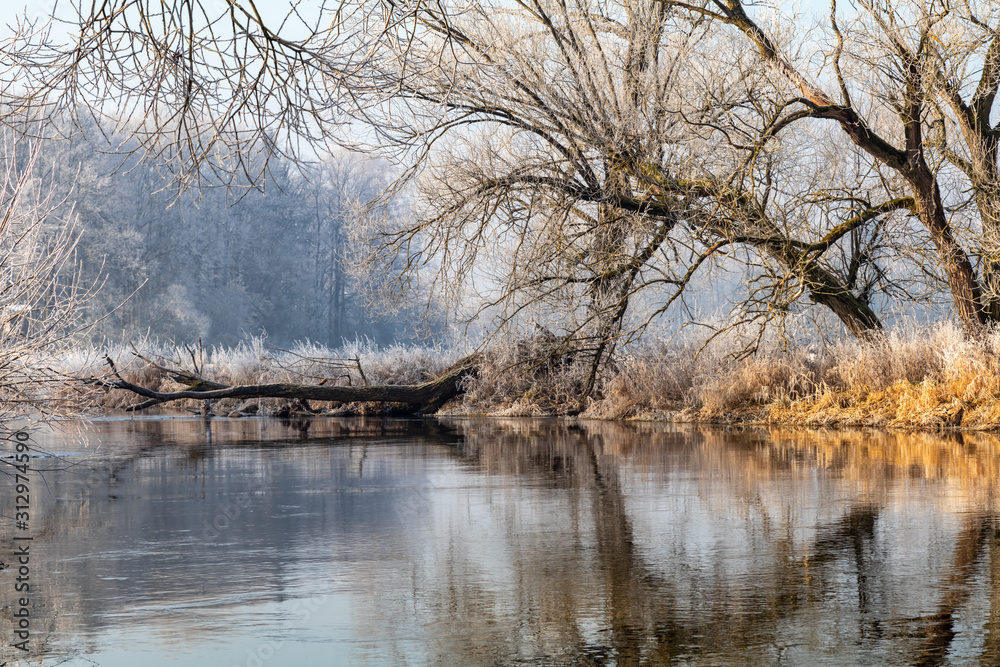 Obraz premium Die Waldnaab nach einer Frostnacht im Januar