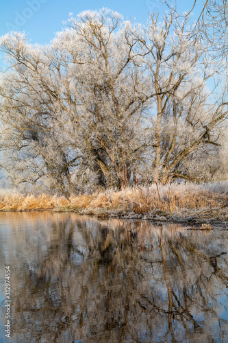 Wallpaper Mural Die Waldnaab nach einer Frostnacht im Januar Torontodigital.ca