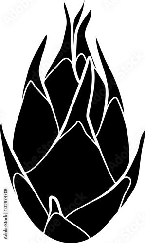 Black silhouette of pitahaya or dragon fruit isolated on white background