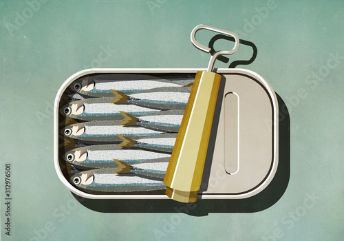 Open can of sardines photo