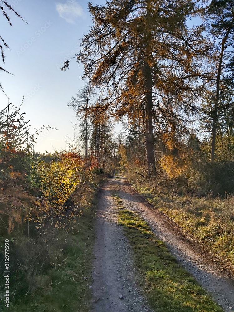 Waldweg 1