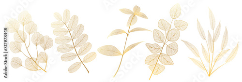 Set leaves on white. Leaf veins.  Vector illustration. EPS 10.