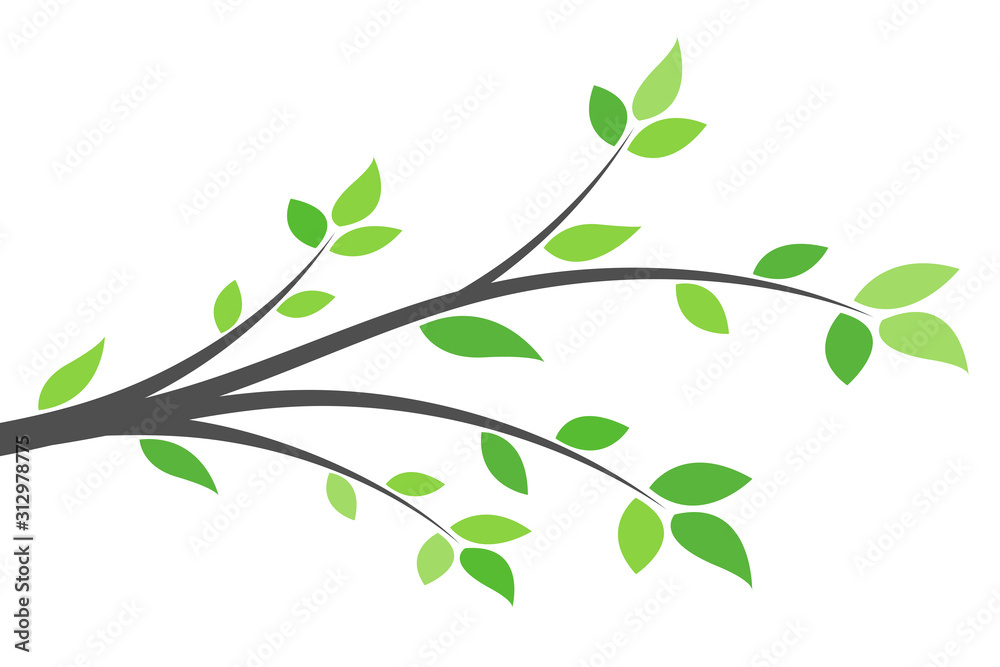 Silhouette of a branch with green leaves. Young tree. Spring background concept. - obrazy, fototapety, plakaty 