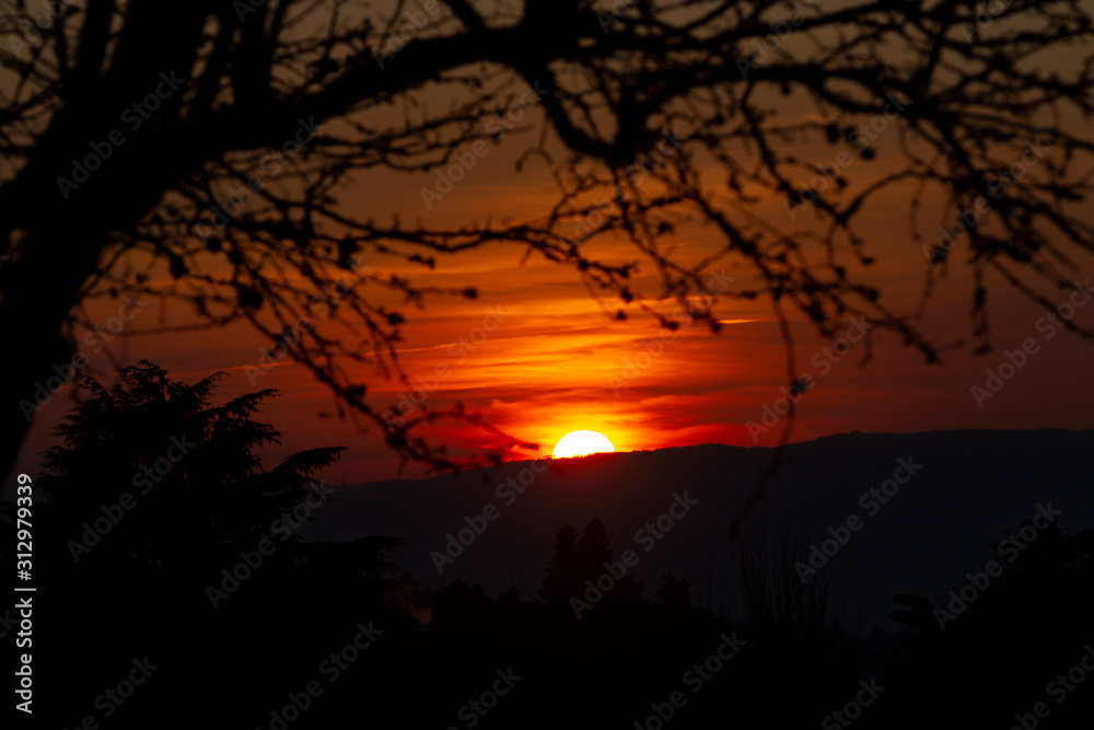 sunset with tree branches in shadow and reflection of the sun in the clouds sunset with tree branches in shadow and reflection of the sun in the clouds