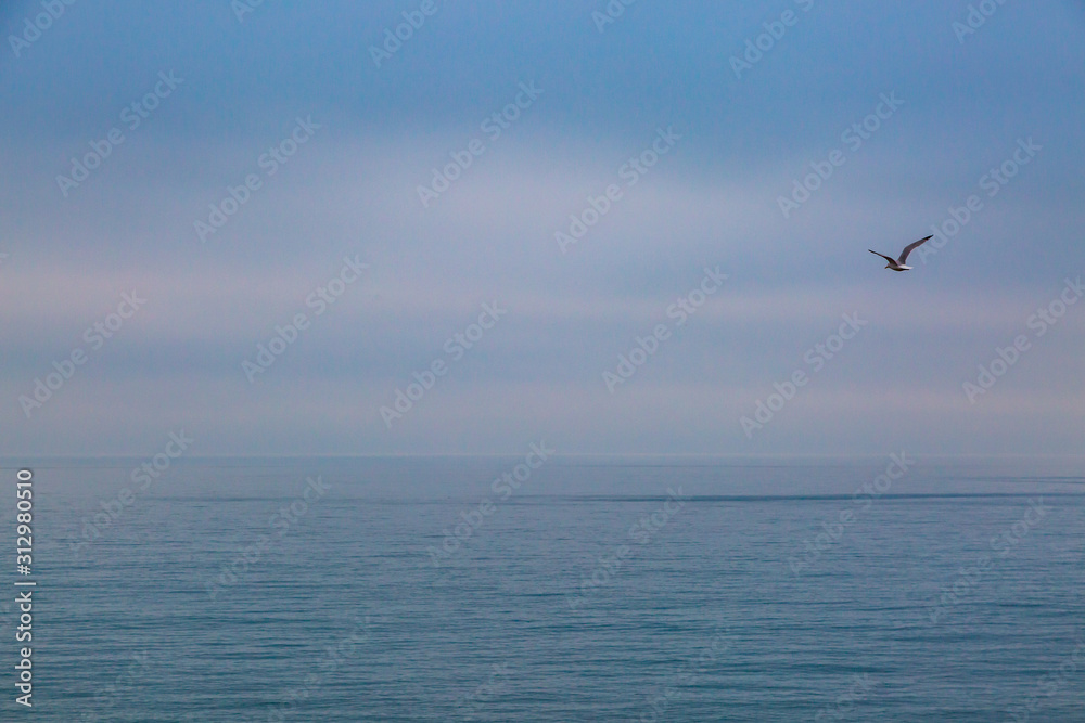 Looking out over the ocean from the Sussex coast