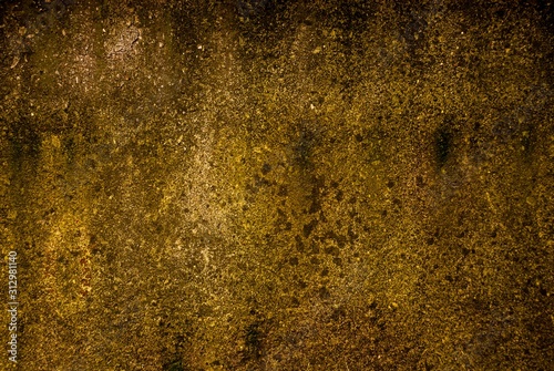 Background, concrete wall with brown lichen.
