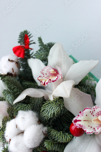 christmas flower composition on white background