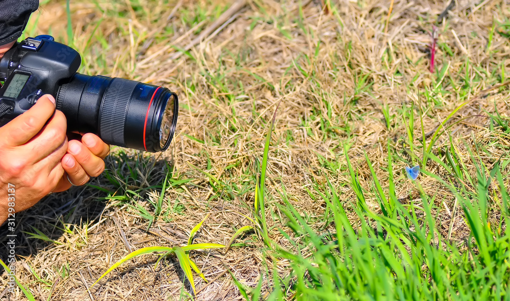 Photographer takes a butterfly in the forest . Photographer takes a butterfly in the forest .