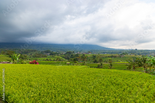 Jatiluwih Rice Terrace on a cloudy day. A UNESCO Heritage Site in Bali, Indonesia.