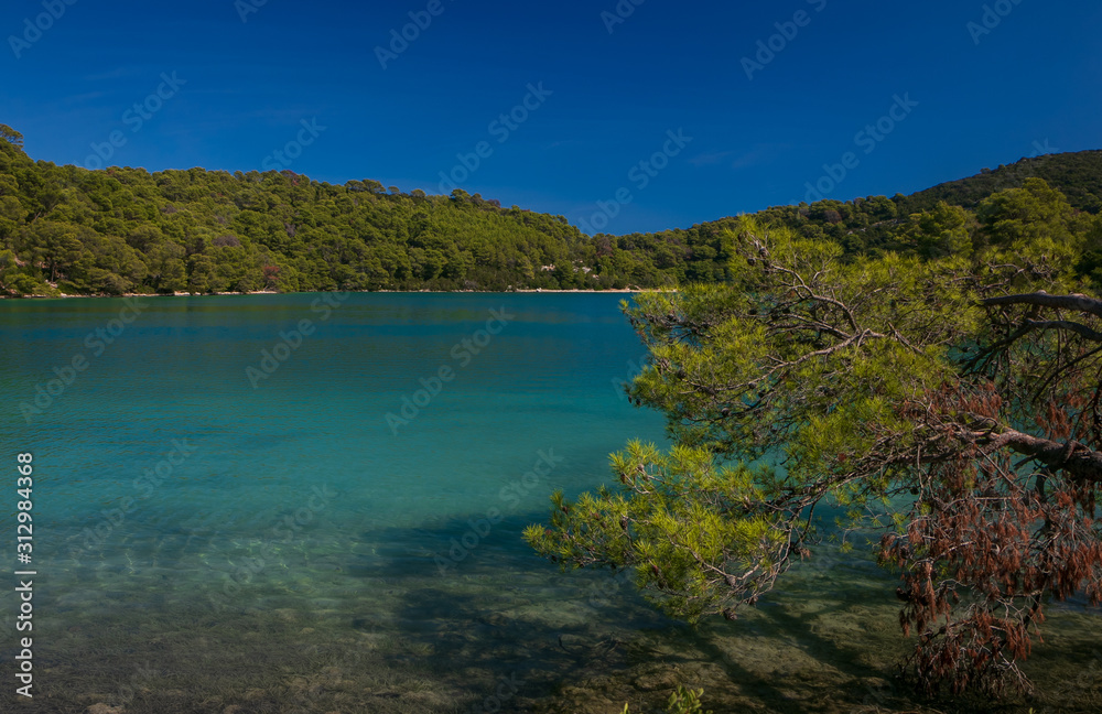 azure blue water embedded in green pine forest
